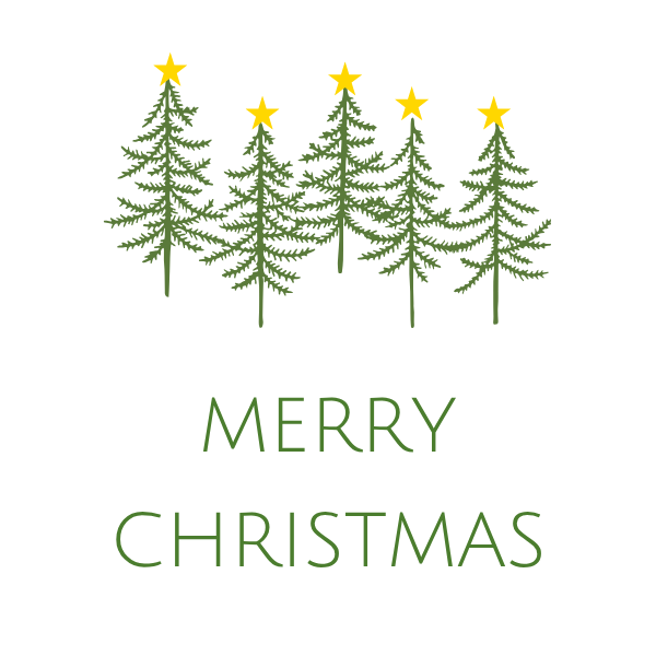 Unisex Garment-Dyed T-shirt - Merry Christmas